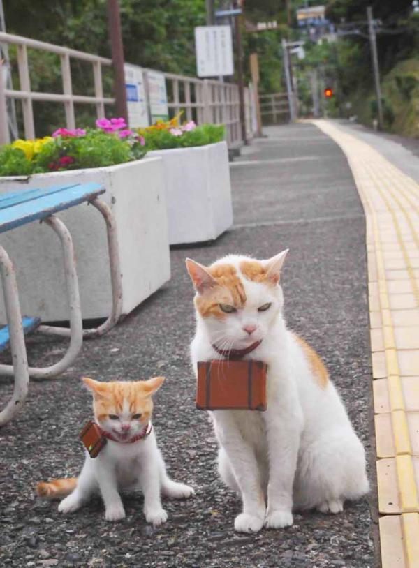 熊猫体育app官网-勇士压哨战胜太阳，系列赛焦点战中库里末节爆发，2021勇士库里