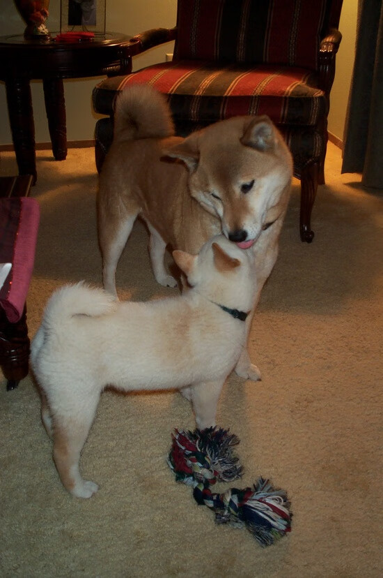 熊猫体育官方试玩-英雄联盟电竞纪录被刷新，英雄联盟电竞比赛规则