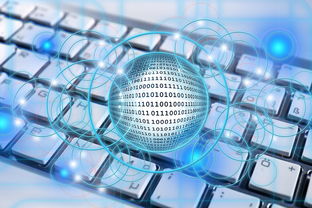 熊猫体育APP-中超战术执行连续性数据可视化,中超数据分析