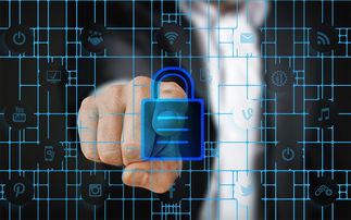 熊猫体育入口-体育特许经营管理制度构建与案例研究，体育行业特有职业培训试点单位