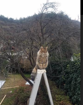 熊猫体育-“简阳文体中心:篮球赛成为全场最具张力的对抗”