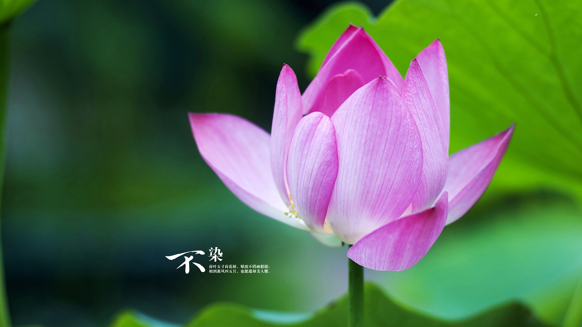 熊猫体育在线登录-中国足球职业联赛优化球队临场指挥沟通工具,足球队伍比赛