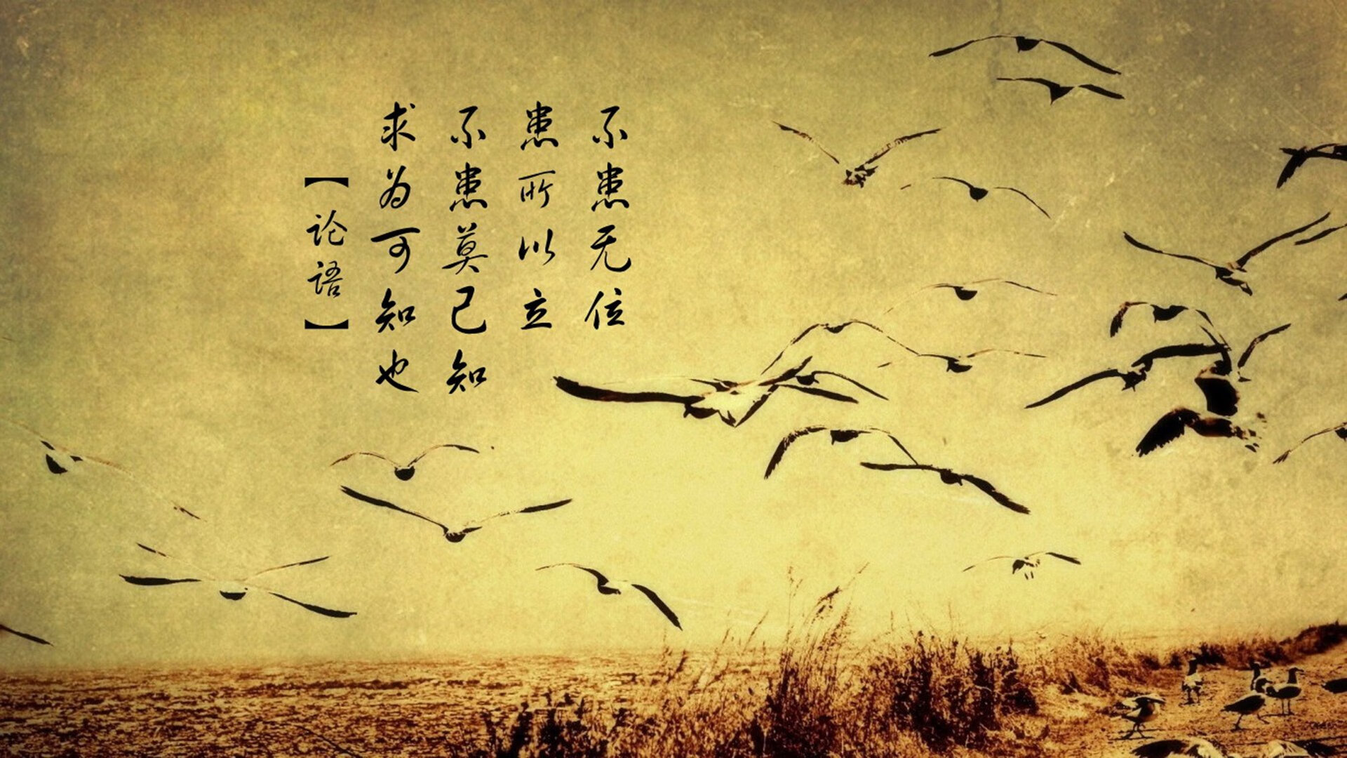 熊猫体育娱乐-欧洲杯攻防大战:战略布局中的精彩瞬间,欧洲杯 攻略