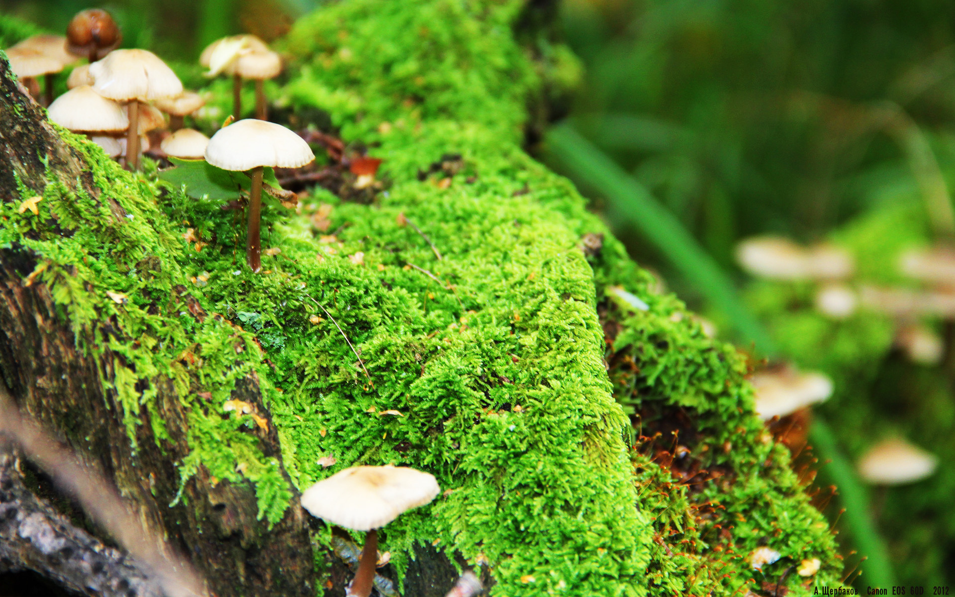 熊猫体育app官网-球队引入心理咨询师,重视球员心理健康管理,球员心态