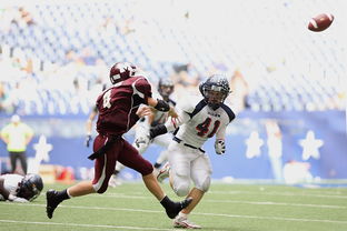 熊猫体育下载-皮特·斯图斯：南非羚羊队的防守核心，一直稳定发挥