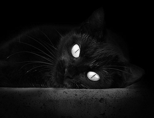 熊猫体育官方网站-艾比·德尔福:南非队的防线主力,助力球队打破对方攻势,艾比 里德尔