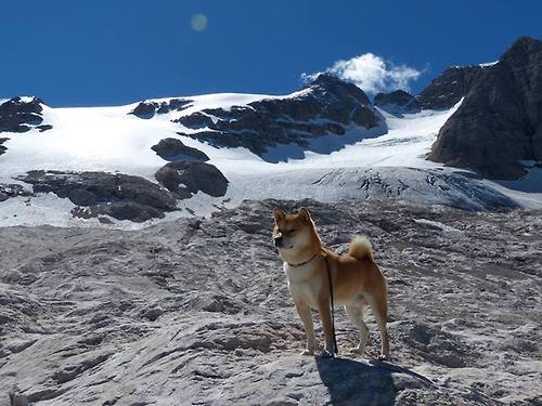 熊猫体育APP-青训中心设立学生成长顾问提供学训生涯指导,青年成长训练营的总结